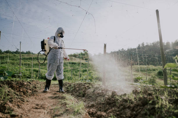 Best Ant Control Services  in Britton, SD
