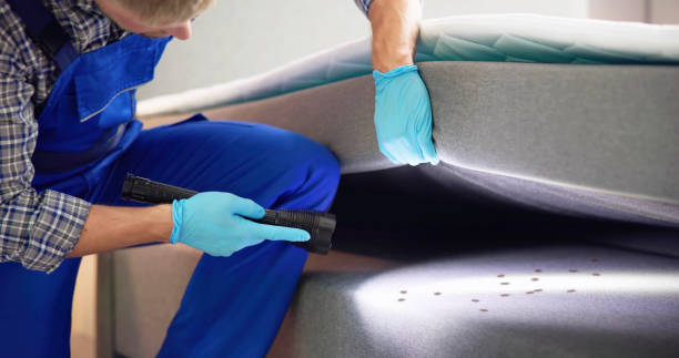 Best Bed Bug Extermination  in Britton, SD
