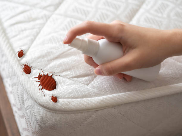 Best Pest Control for Businesses  in Britton, SD