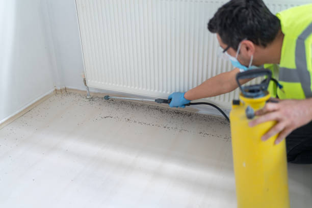 Best Commercial Pest Control Services  in Britton, SD