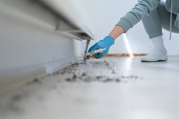 Professional Pest Control in Britton, SD